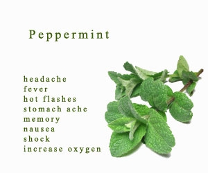 peppermint uses