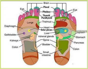 essential oil foot chart