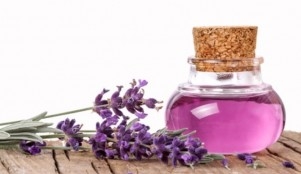 lavender essential oil