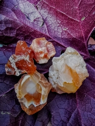 Fire Opal Rough Natural Specimens