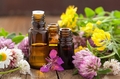 Chamomile Roman, cajaput, citronella  Essential Oil Selection,