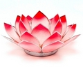 Lotus Flower  Pink/Red Heart/base Chakra Tealight Candle Holder