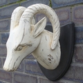 Whitewash Curved Horn Deer Head