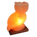 Animal salt lamp - Owl 2-3kg