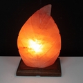  Salt Lamps - Fearn Leaf