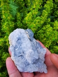 Celestite/Celestine  Natural Cluster. 