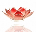 Lotus Flower  Pink/Red Heart/base Chakra Tealight Candle Holder