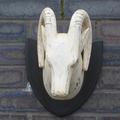 Whitewash Curved Horn Deer Head