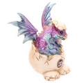  Baby Dragon Hatching From Its Egg   (Collectable)