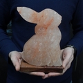 Animal Salt Lamps - Rabbit