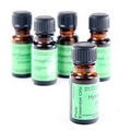 Bergamot  Essential Oil Selection, 10ml