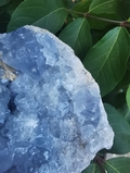 Celestite/Celestine  Natural Cluster. 