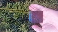 Shattuckite Cube Hexahedron