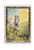 THE DRUID ANIMAL ORACLE DECK