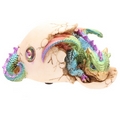   Colourful Baby Dragon Hatching From Its Jewel Encrusted Egg  (Collectable)