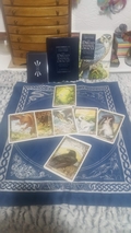 THE DRUID ANIMAL ORACLE DECK BOX SET