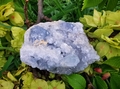 Celestite/Celestine  Natural Cluster. 