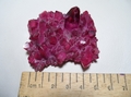 Ruby Aura Flame Crystal Cluster (lemurian)