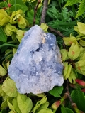 Celestite/Celestine  Natural Cluster. 